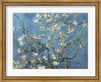 Almond Blossom, 1890 Fine Art Print