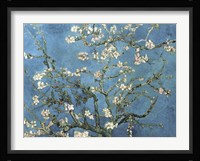 Almond Blossom, 1890 Framed Print