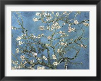 Almond Blossom, 1890 Framed Print
