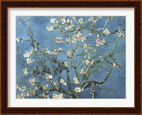 Almond Blossom, 1890 Fine Art Print