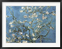 Almond Blossom, 1890 Framed Print