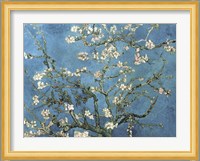 Almond Blossom, 1890 Fine Art Print