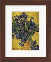 Irises in Vase Fine Art Print