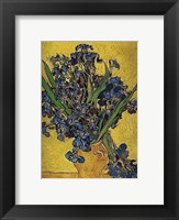 Irises in Vase Fine Art Print