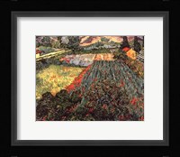 Field of Poppies, Saint-Remy, c. 1889 Framed Print