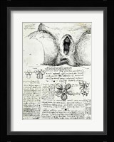 The Female Sexual Organs Fine Art Print