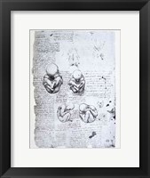 Five Views of a Fetus in the Womb Fine Art Print