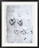 Five Views of a Fetus in the Womb Fine Art Print
