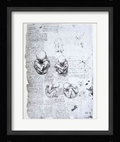 Five Views of a Fetus in the Womb Fine Art Print