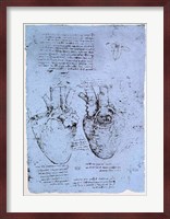 The Heart Fine Art Print