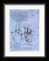 The Heart Fine Art Print