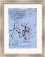 The Heart Fine Art Print