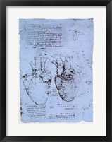 The Heart Framed Print