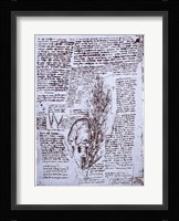 The Heart and the bronchial arteries Fine Art Print