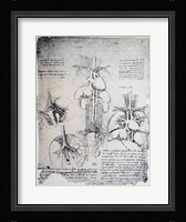 The Heart and the Circulation Fine Art Print