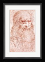 Portrait of a Bearded Man Fine Art Print