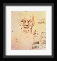 Studies of the Proportions of the Face and Eye Fine Art Print