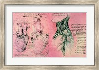 Anatomical drawing of hearts and blood vessels Fine Art Print