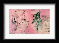 Anatomical drawing of hearts and blood vessels Fine Art Print