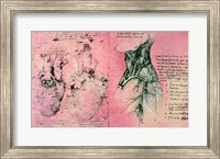 Anatomical drawing of hearts and blood vessels Fine Art Print