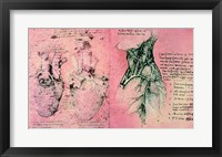 Anatomical drawing of hearts and blood vessels Fine Art Print