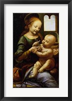 Madonna Benois, c.1478 Fine Art Print