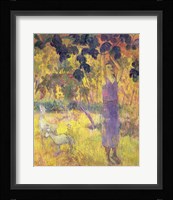 Man Picking Fruit from a Tree, 1897 Fine Art Print