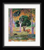 Dominican Landscape Fine Art Print