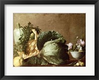 Still Life Fine Art Print