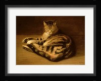 Recumbent Cat, 1898 Fine Art Print