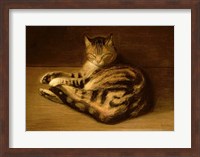 Recumbent Cat, 1898 Fine Art Print