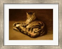 Recumbent Cat, 1898 Fine Art Print