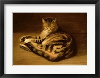 Recumbent Cat, 1898 Fine Art Print