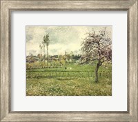 Meadow at Eragny, 1885 Fine Art Print