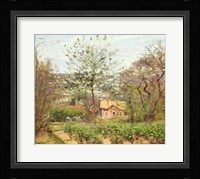 The Cottage Fine Art Print