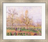 Orchard at Pontoise, 1878 Fine Art Print