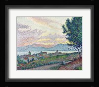 St. Tropez, Pinewood, 1896 Fine Art Print