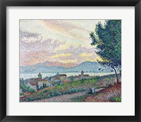 St. Tropez, Pinewood, 1896 Fine Art Print