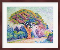 The Pine Tree at St. Tropez, 1909 Fine Art Print