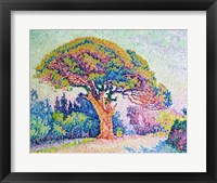The Pine Tree at St. Tropez, 1909 Fine Art Print