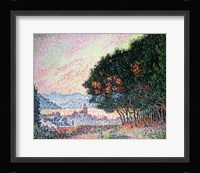 Forest near St. Tropez, 1902 Fine Art Print