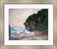 Forest near St. Tropez, 1902 Fine Art Print