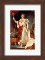Napoleon in Coronation Robes, c.1804 Fine Art Print