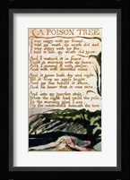 A Poison Tree, from Songs of Experience Fine Art Print