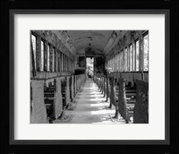 Overgrowth Along The Line Fine Art Print