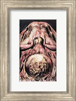 Book of Urizen; Blake's retelling of the Creation of Eve in the Creation of Enitharmon Fine Art Print