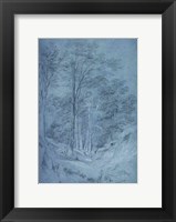 Study of ash and other trees Fine Art Print