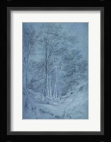 Study of ash and other trees Fine Art Print