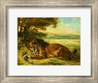 Lion and Alligator, 1863 Fine Art Print