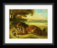 Lion and Alligator, 1863 Fine Art Print